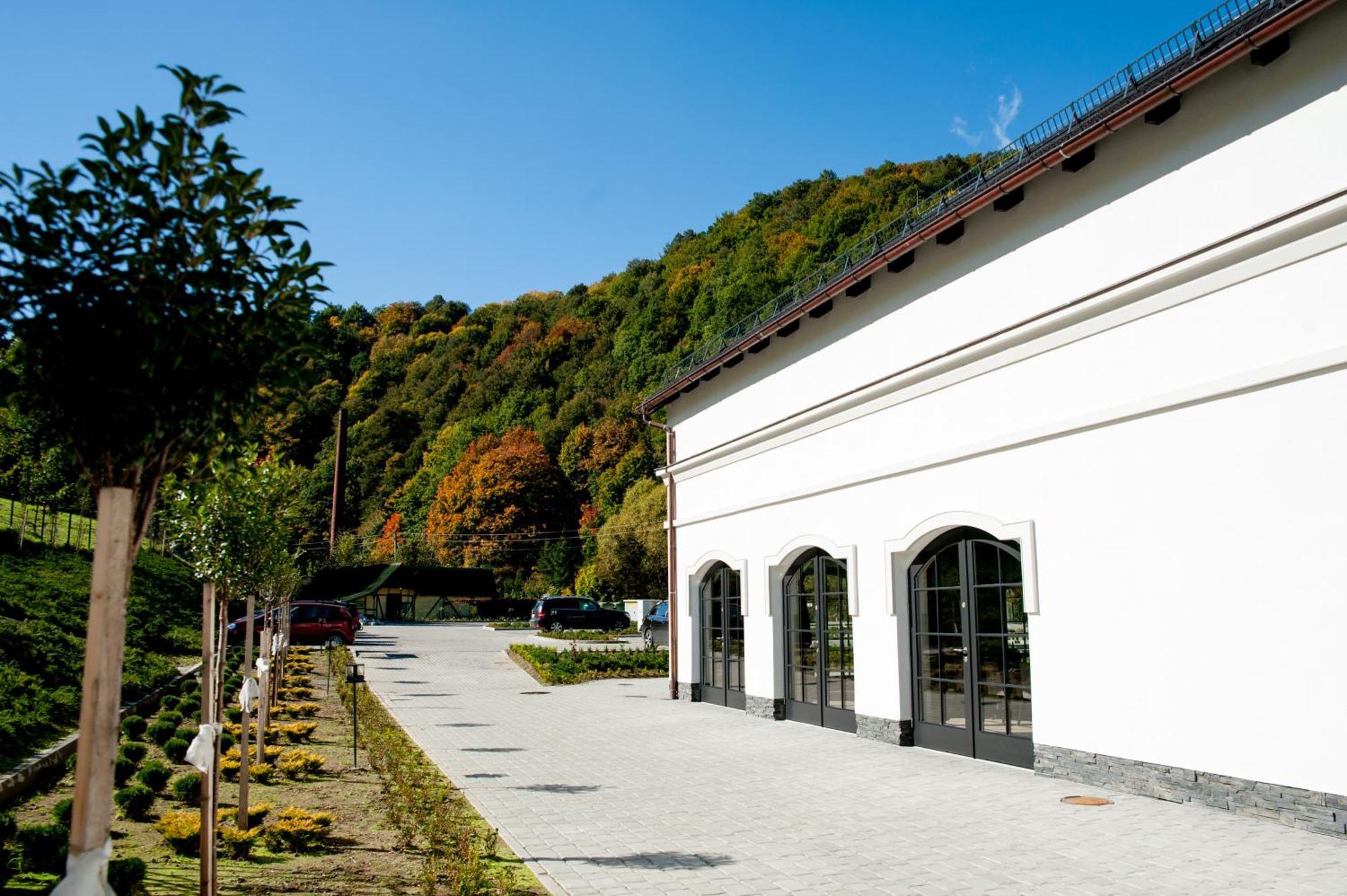 Hotel Palac Jugowice Walbrzych Bagian luar foto